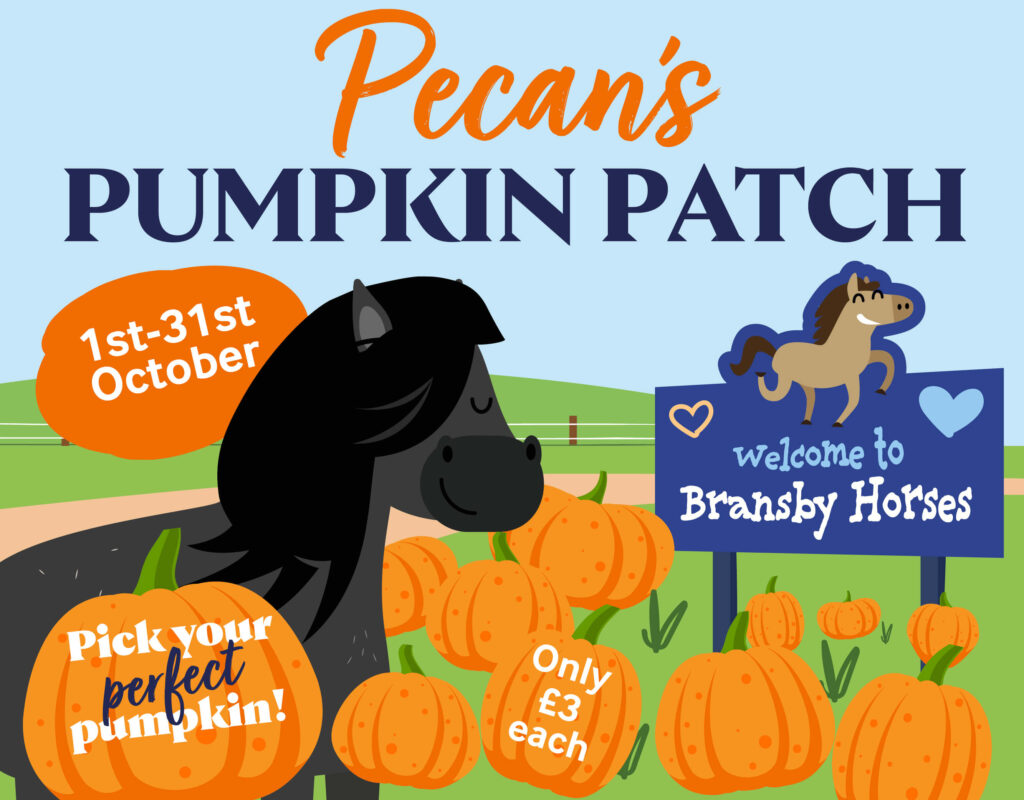 pecan's pumpkin patch mobile banner