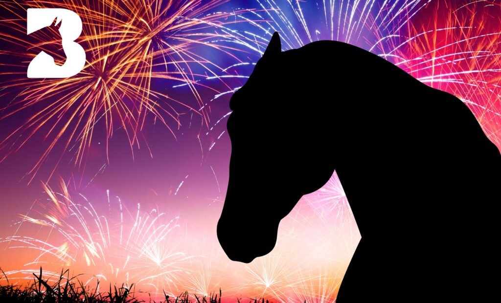 silhouette of a horse in front of a sky of fireworks