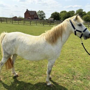 fc505498-1350-4929-8a4f-97d4960ddfd2-300x300