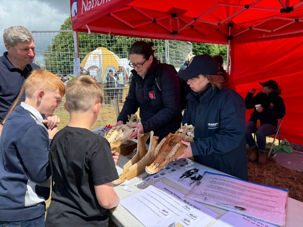 “At Appleby 2024, the Engagement Team at the NEWC tent on Salt Tip Corner 1 welcomes visitors. A Bransby Horses staff member is engaging with two young children, discussing horse welfare inside a red pop-up tent. The setting is lively with event-goers and a sunny, outdoor atmosphere