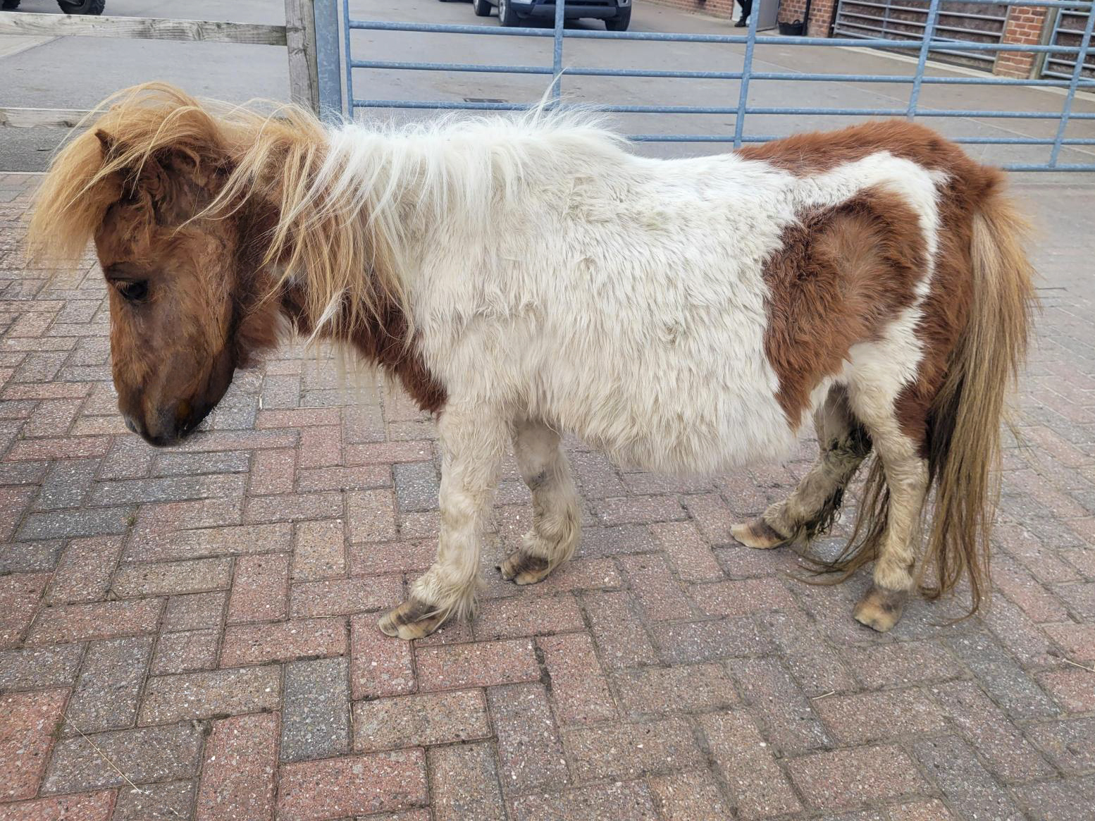 Miriam on arrival at the ARC