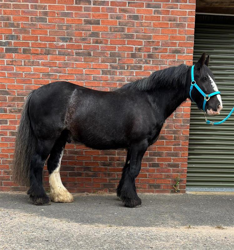 353739d7-e0b5-4d4e-9172-a6d69aa52bcd