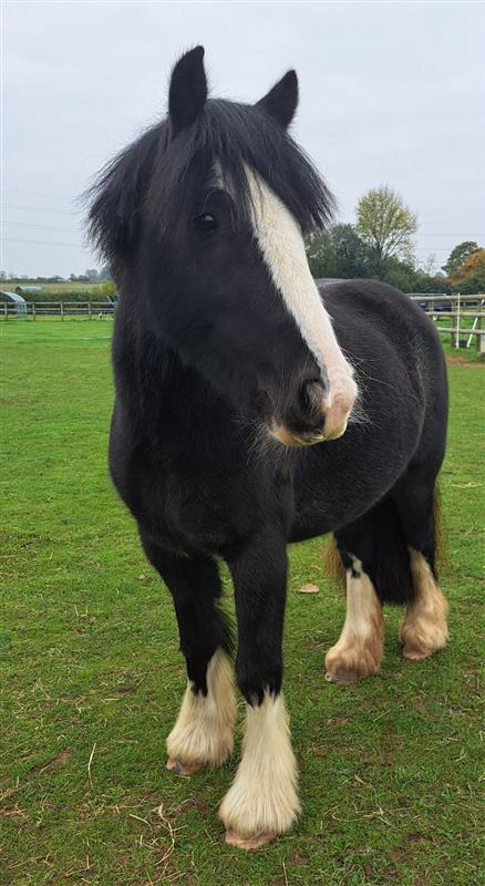 9837f0ce-ba53-470f-bf1b-b902226afce4