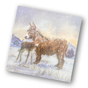 Christmas Cards