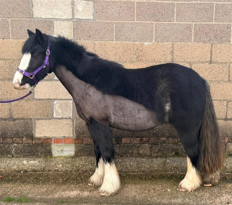 ce737d70-7987-4dca-808b-d0baaed229e9