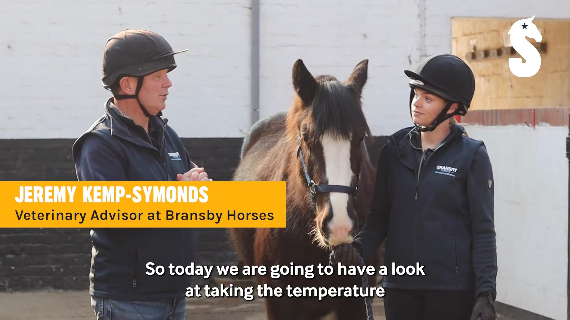 Take your horse's temperature