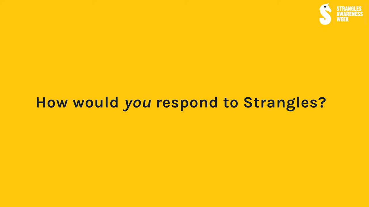 Managing a strangles outbreak