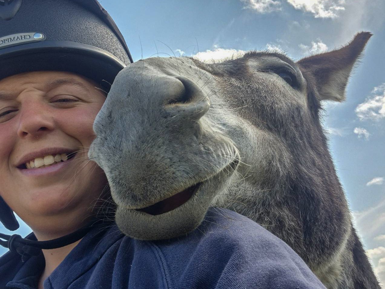 a yard team member with a donkey's head resting on her shoulder