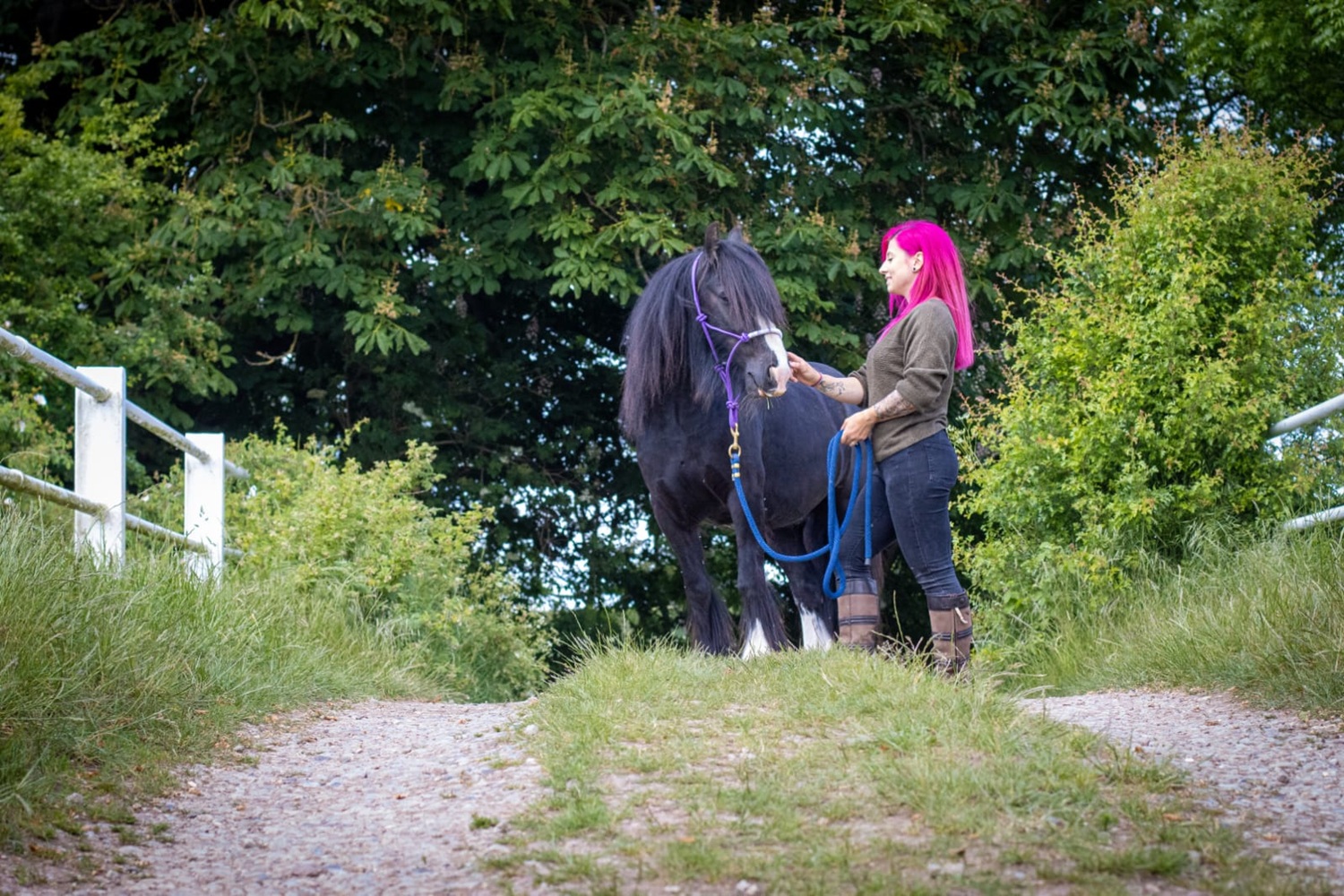 Leicester, a black horse with a purple halter, stands on a gravel path next to a person with bright pink hair holding a blue lead rope. They are sharing a quiet moment together, surrounded by green trees and bushes with white railings along the path