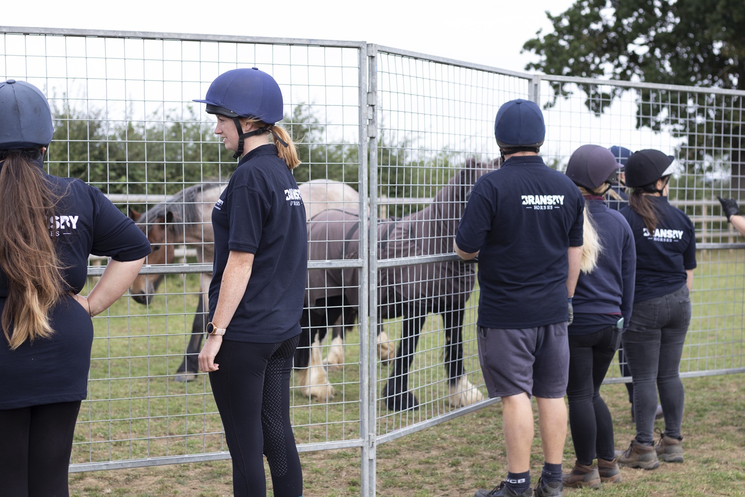 Rescue Support Team members wearing helmets and branded shirts stand around a metal round pen, securing a horse inside as part of a rescue operation before loading it onto a trailer. The scene takes place in an open grassy field with trees in the background