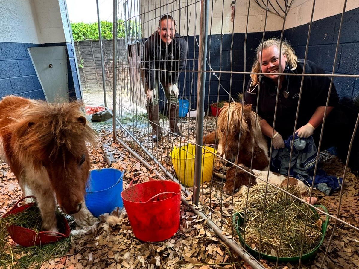 L-R: Remus, Miriam and baby Tonks