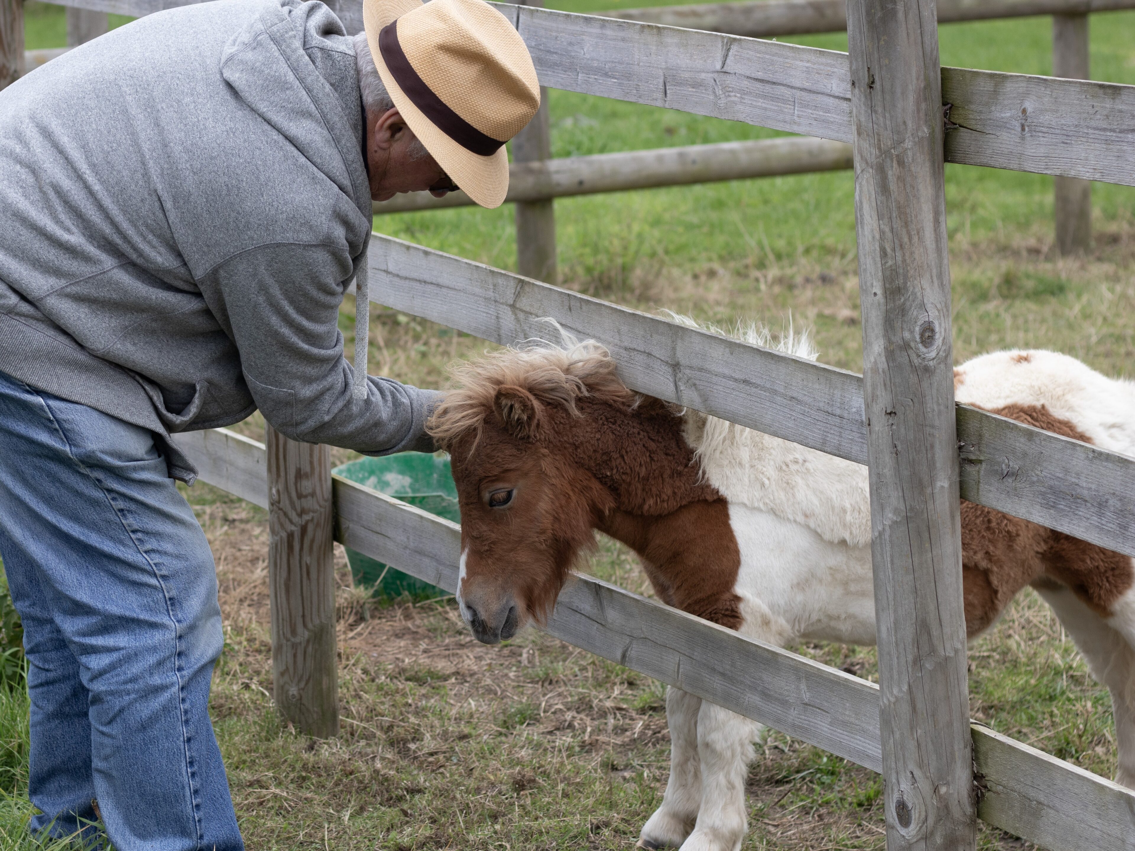 Tonks greeting a visitor