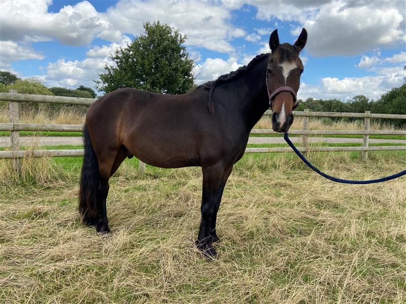 a8ef2b96-b7aa-4df4-8b05-9748672a0ea4