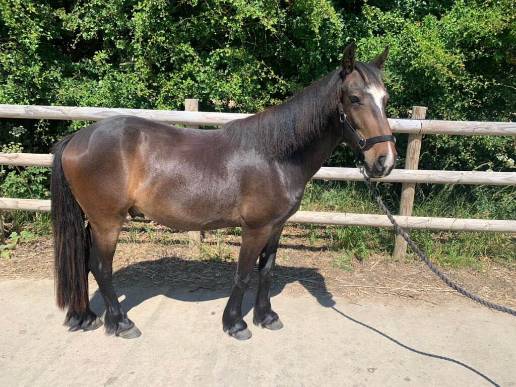 befa7168-ee60-4f3f-bc56-8ed194174abf