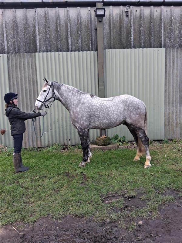 3bbfbaf0-8381-413a-b3db-99e61647132c