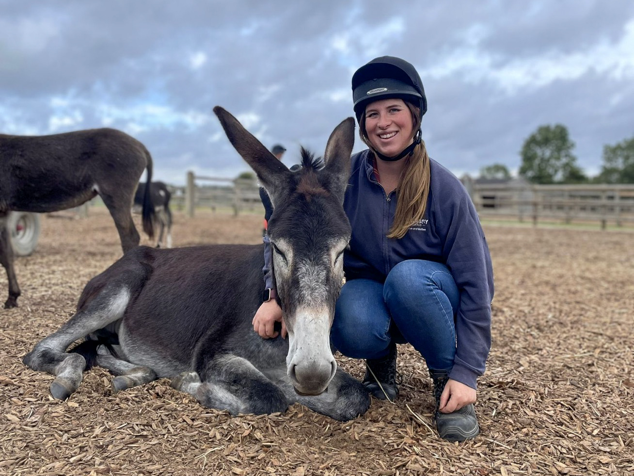 Yorkie_Image (22) copy