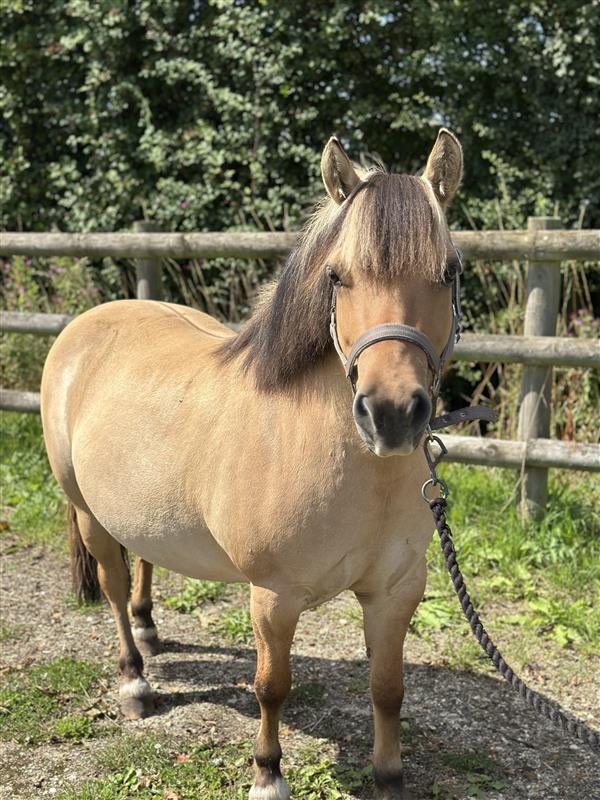 686d56f7-3411-495f-b69b-e46ccb418b1b