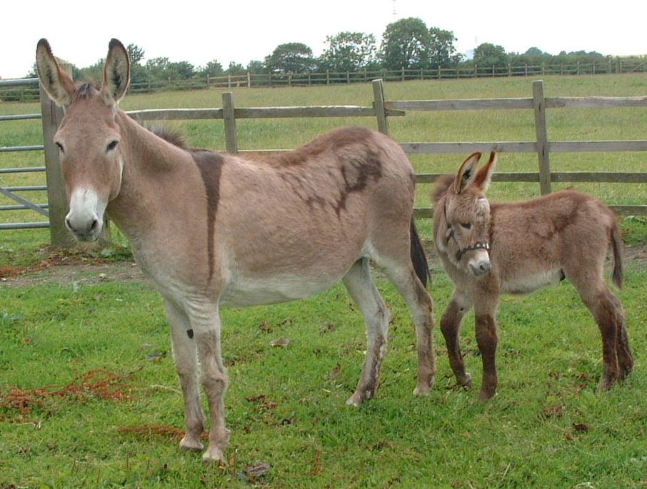 L-R: Gertrude, William