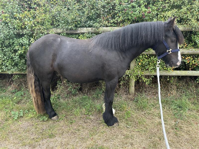 bd248961-d9e9-469f-a232-f6de77ba7611