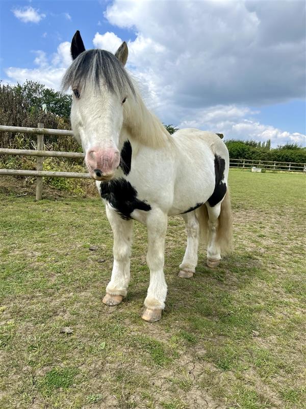 0aa40f50-0047-4242-b65a-20778de76b94