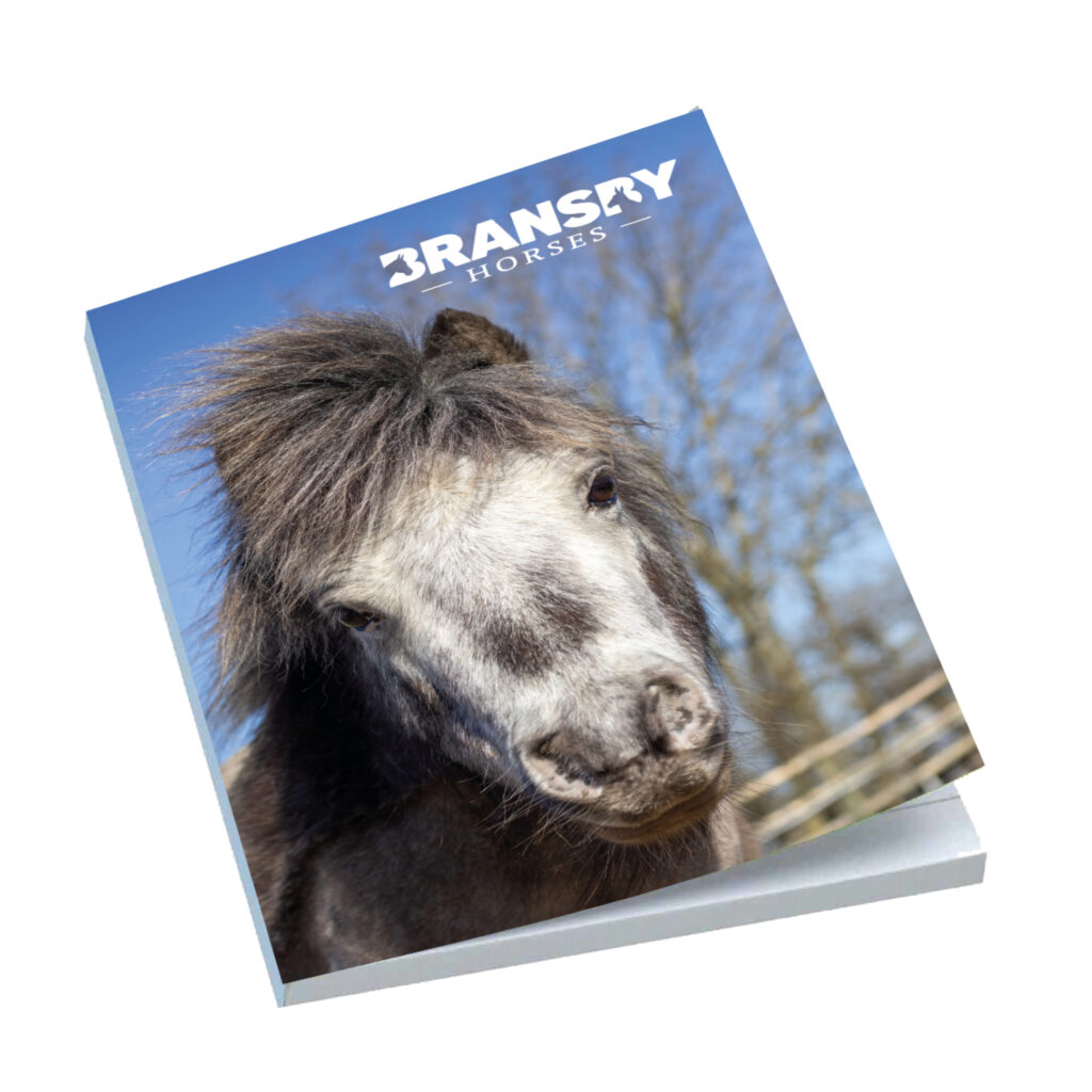 A5 Hard Cover Notebook