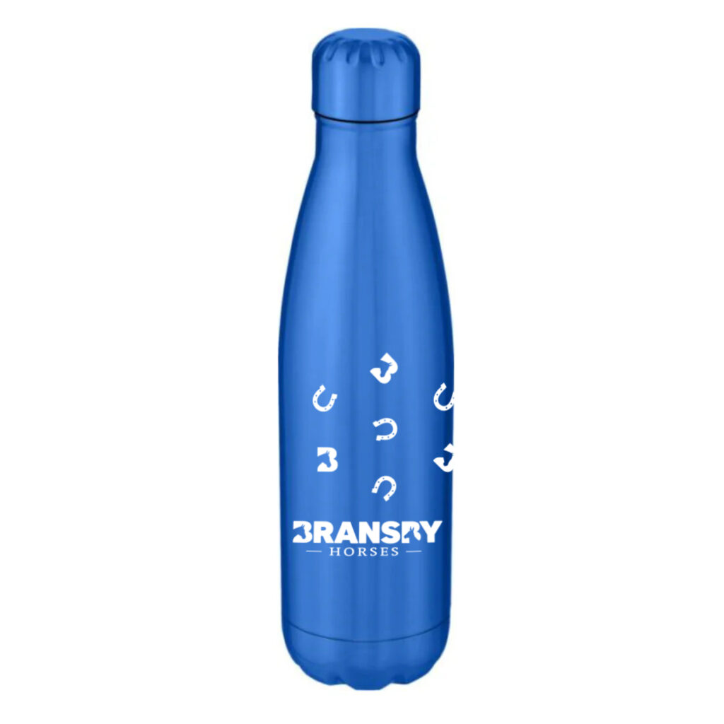 Insulated Stainless Steel Bottle