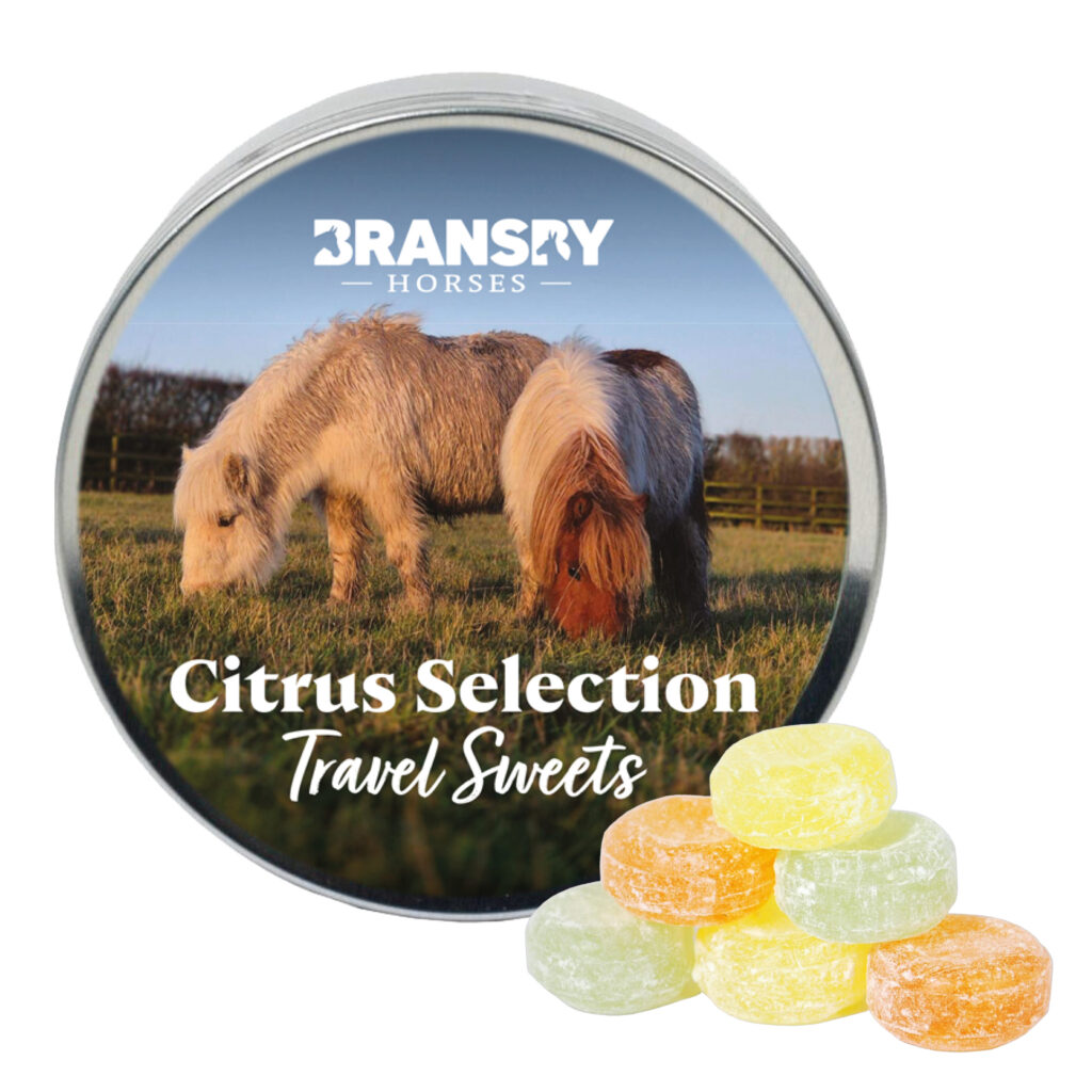 Travel Sweets - Citrus Selection
