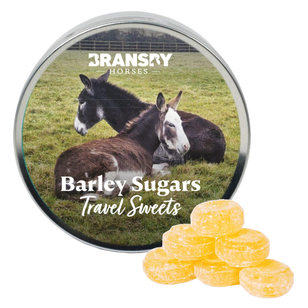 Travel Sweets - Barley Sugars