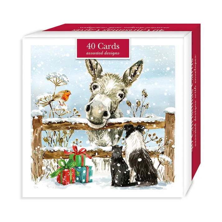 Donkeys and Friends Christmas Cards 40 pack