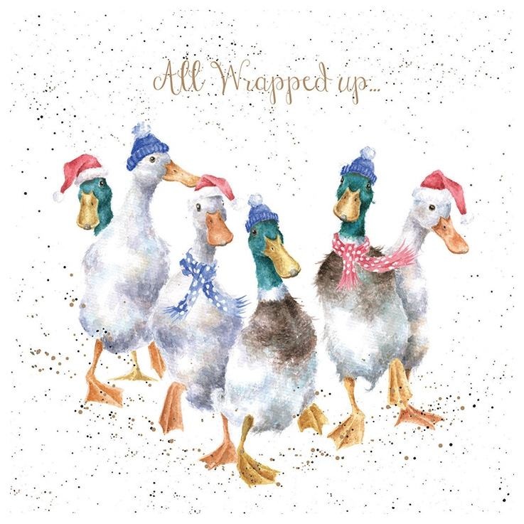 Ducks All Wrapped Up 8 Luxury Gold Foiled Xmas Cards