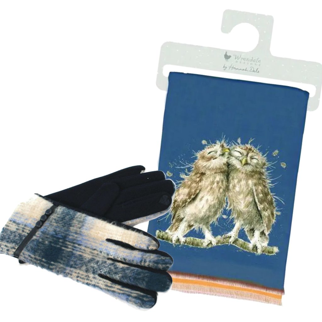Blue Scarf and Gloves Set