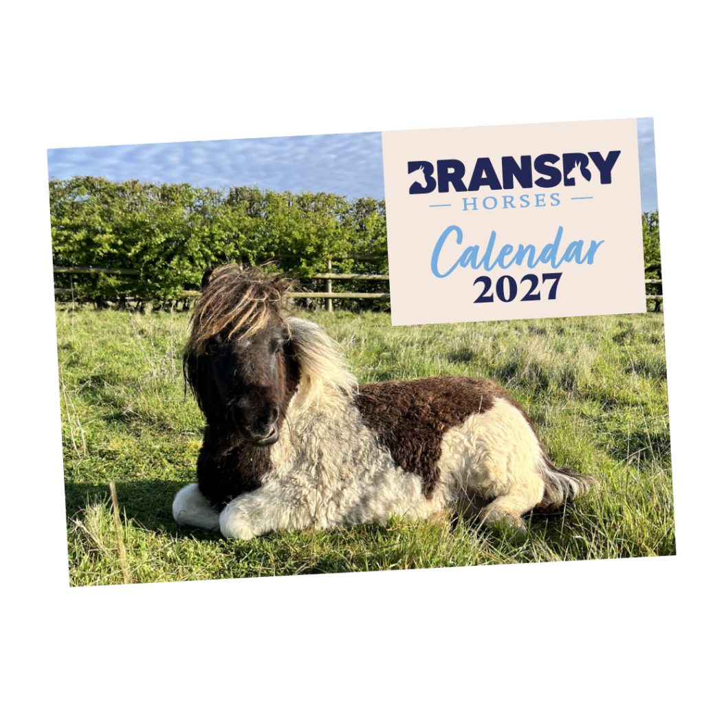 Bransby Horses Calendar 2027 A4 Landscape
