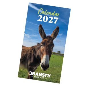 Calendars & Diaries