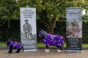 Bransby Horses is proudly supporting the Purple Poppy Campaign this Remembrance season, joining forces with Murphy's Army